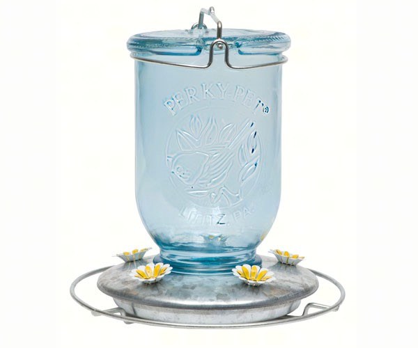 Blue Mason Jar Hummingbird Feeder Cahoots