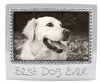 Mariposa Best Dog Ever Frame Mariposa Best Dog Ever Frame