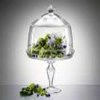 Juliska Isabella Clear Cake Dome - Large Juliska Isabella Clear Cake Dome - Large