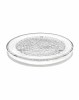 Orrefors Pearl Round Platter Orrefors Pearl Round Platter