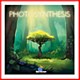 Photosynthesis Photosynthesis