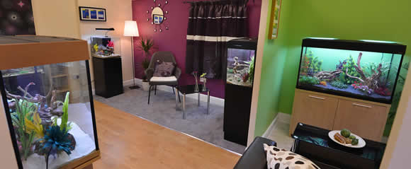 Showroom Aquariums