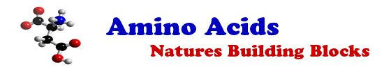 Amino Acids are the chemical units or "building blocks" of the body that make up proteins. Protein substances make up the muscles, tendons, organs, glands, nails, and hair. Growth, repair and maintenance of all cells are dependent upon them. Amino Acids are the chemical units or "building blocks" of the body that make up proteins. Protein substances make up the muscles, tendons, organs, glands, nails, and hair. Growth, repair and maintenance of all cells are dependent upon them.