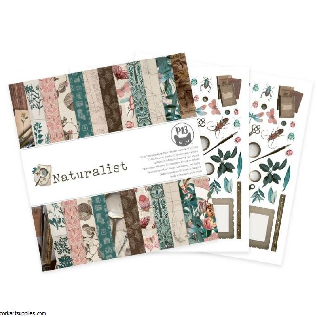 Paper Pk 12x12 PT Naturalist