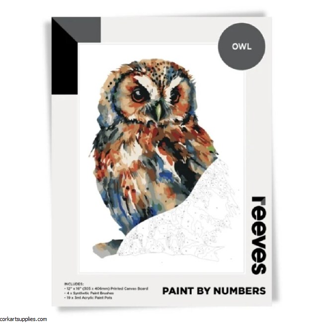 Paint By Numbers Owl