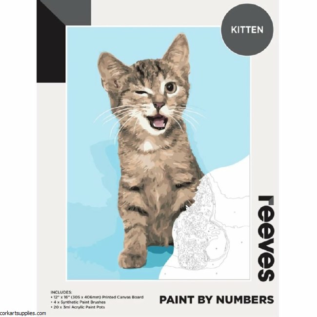 Paint By Numbers Kitten