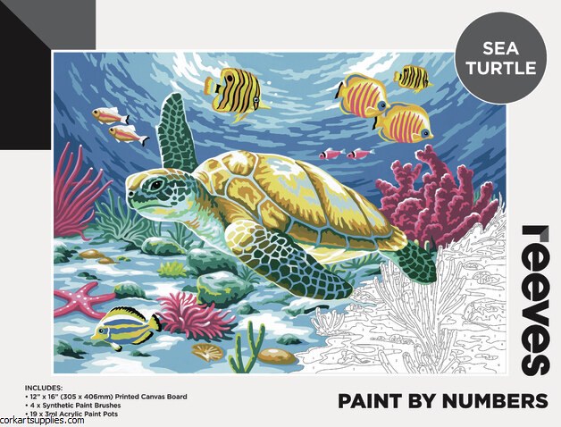 Paint By Numbers Turtle*