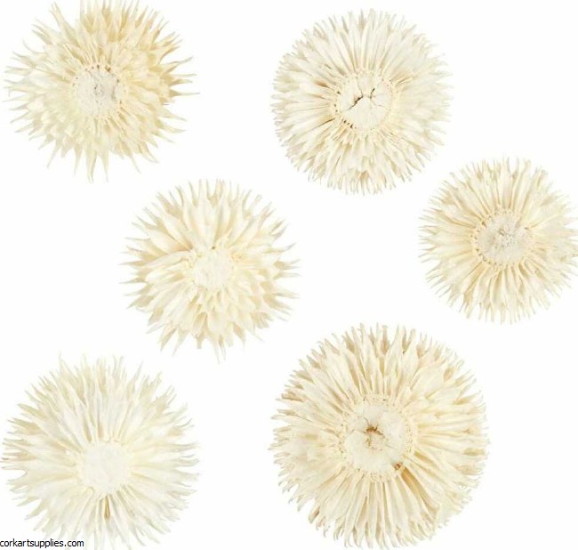 Dried Flower Heads 3-5 cm 6pk
