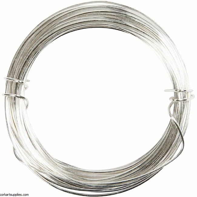 Wire Silver 0.6mmx10m