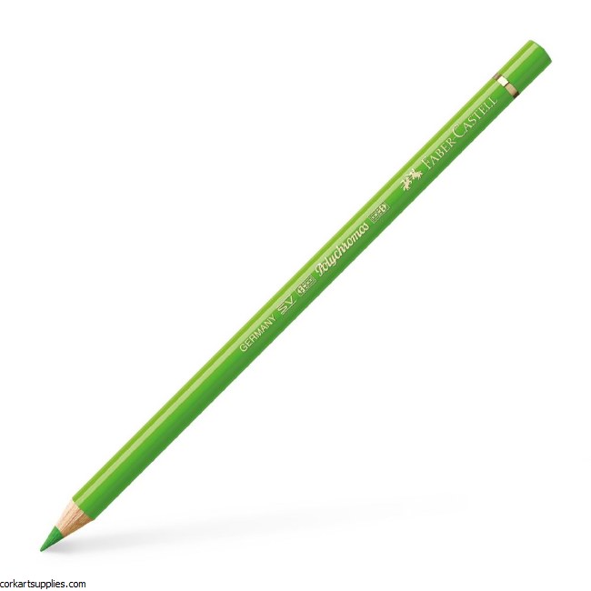 Polychromos Pencil 166 - Grass Green