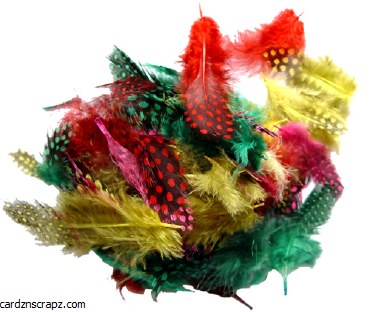 Feathers 3g Ginea Fowl Ast 36p Feathers 3g Ginea Fowl Ast 36p
