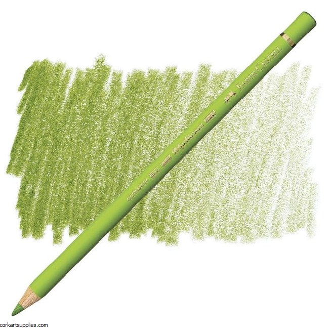 Polychromos Pencil 170 - May Green