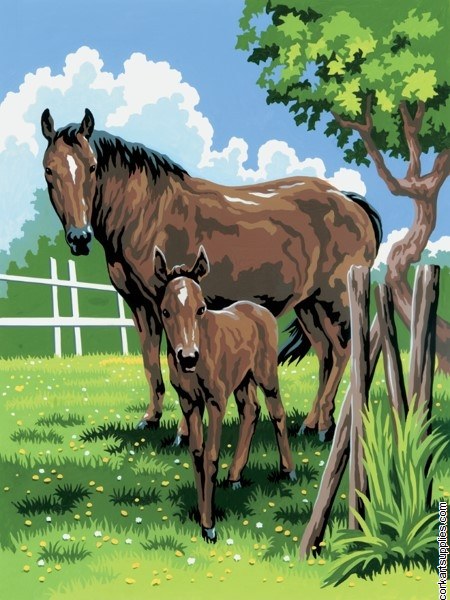 Paint By Numbers Horse & Foal Paint By Numbers Horse & Foal