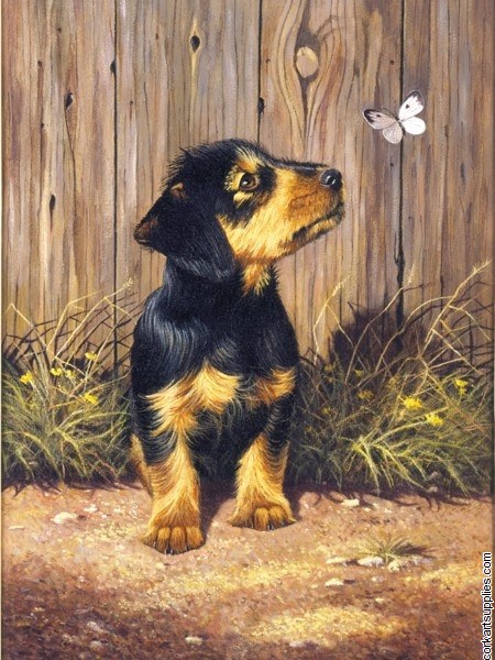 Paint By Numbers Dachshund Paint By Numbers Dachshund