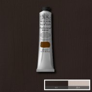 Burnt Umber 200ml Artists' Acrylic Winsor & Newton