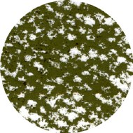 Schmincke Pastel 030B Greenish Umber