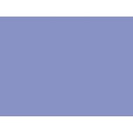 Ciao BV13 Hydrangea Blue