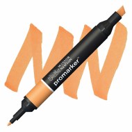 ProMarker Ginger