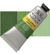 Galeria 60ml Sap Green