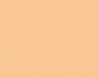 Drawing 130gm A4 Acid Free Apricot