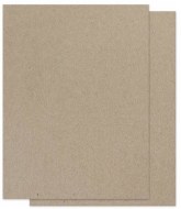 Recycled Paper 110g A2 100pk