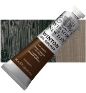 Winton Oil Colour 37ml Raw Umber