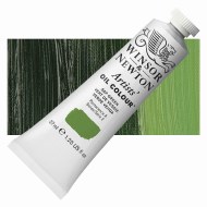 Winsor & Newton Artists Oil 37ml Sap Green