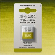Artists Watercolour Halfpan Olive Green