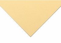 Pastelmat Card 360gm/170lb 50x70cm (Min Order Quantity of 3 Sheets) Maize