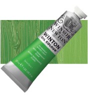 Winton Oil Colour 37ml Permanent Green Light
