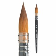 Princeton Aqua Elite Quill 6