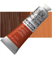 Winton Oil Colour 37ml Burnt Sienna