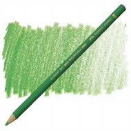 Polychromos Pencil 112 - Leaf Green