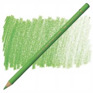 Polychromos Pencil 166 - Grass Green