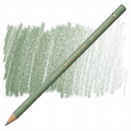 Polychromos Pencil 172 - Earth Green