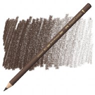 Polychromos Pencil 176 - Van Dyck Brown