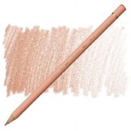 Polychromos Pencil 189 - Cinnamon