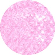 Schmincke Pastel 930H Rose Pearl