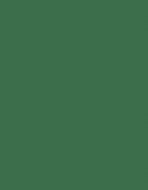 Tinted Board A4 300gm Fir Green