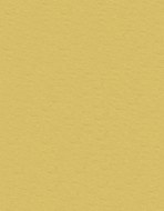 Tinted Board A4 300gm Gold