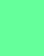 Tinted Board A4 300gm Green Mint