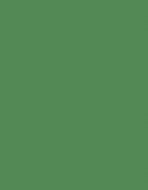Tinted Board A4 300gm Green Moss