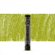 Rembrandt Olive Green Tint 5