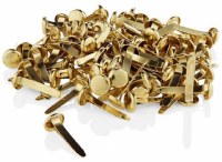 Butterfly Clips Gold 100pk