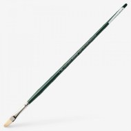 Winton Filbert Size 04