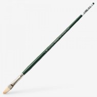 Winton Filbert Size 06