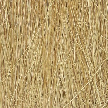 FIELD GRASS-NATRL HARVEST GOLD
