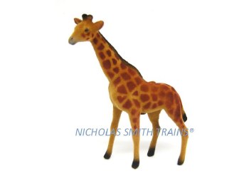 BABY GIRAFFE