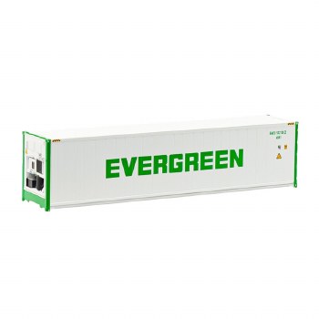 EVERGREEN CONTAINERS - 3 PACK