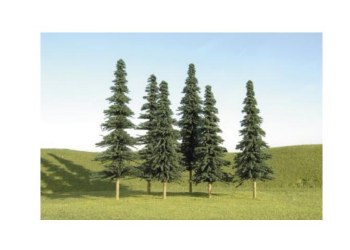SPRUCE TREES 5